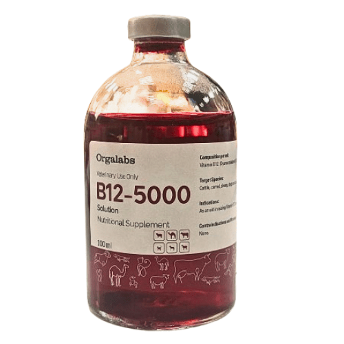 B12- 5000 Injection