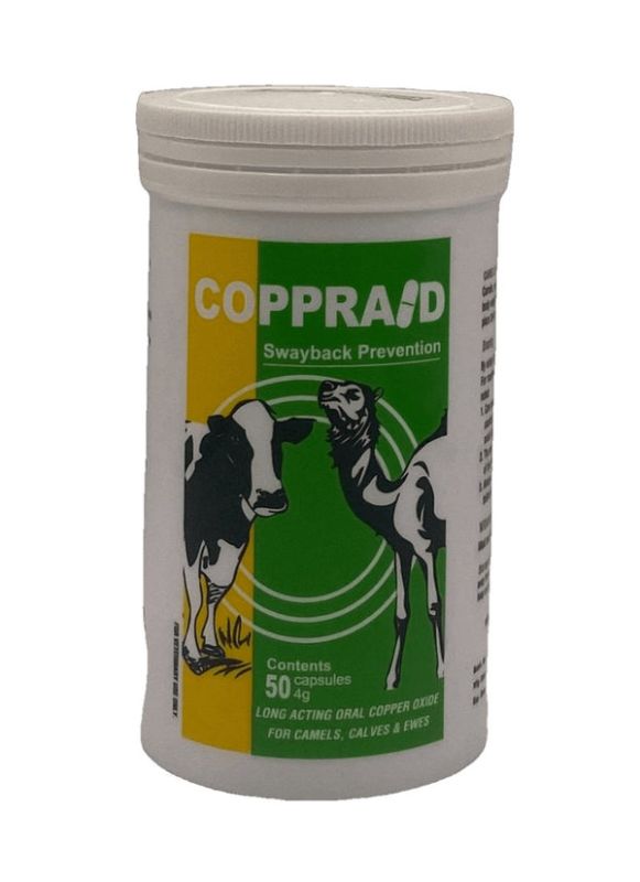 COPPRAID 4 g 50 capsules