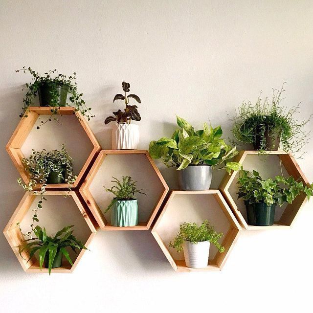 Wall Hanging shelf