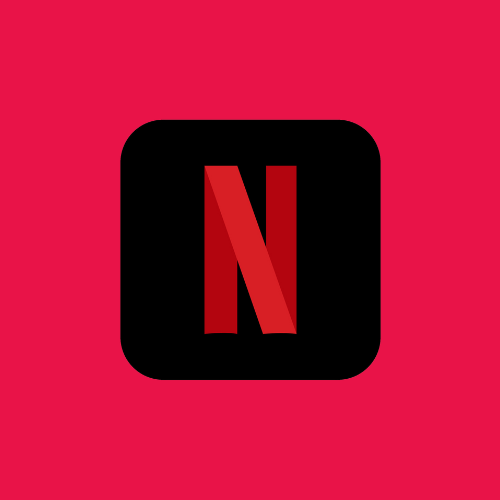 NETFLIX 1 Pantalla