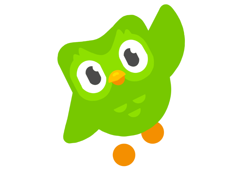 SUPER DUOLINGO! 1 AÑO Aprende INGLES y otros IDIOMAS