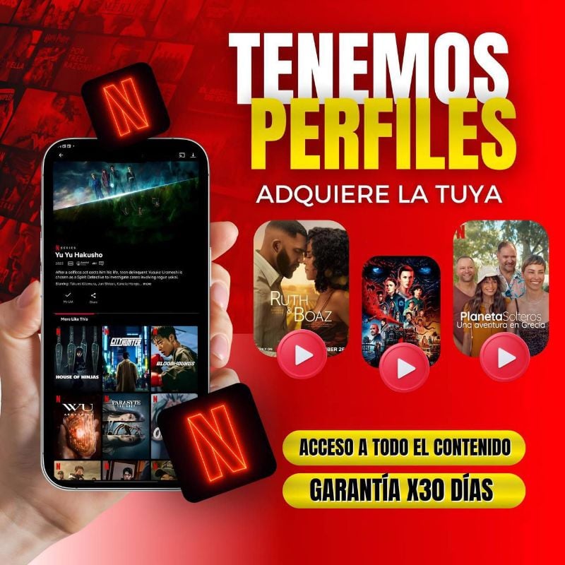NETFLIX VIP