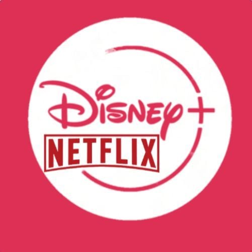 Combo DUO NETFLIX Y DISNEY