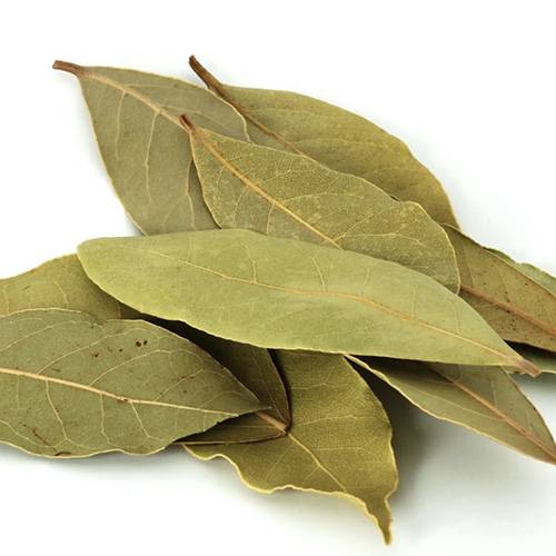 Bay Leaf