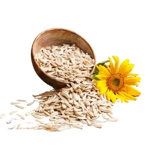 Sunflower Seeds