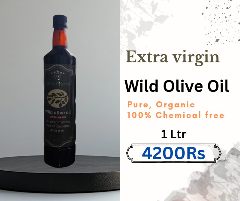 Premium Wild Olive Oil