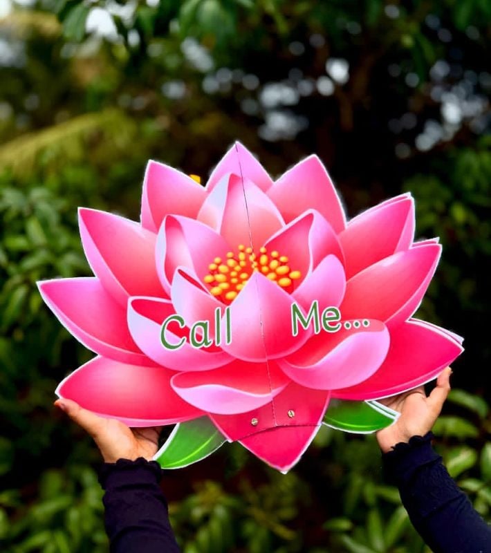 Naming ceremony decoration Name Revealing box Customized model