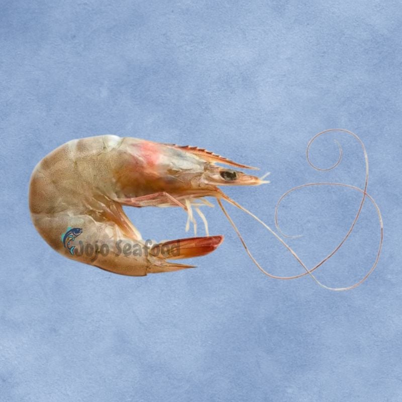 Jumbo Prawns