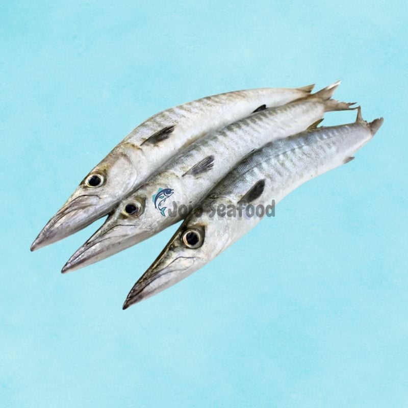 Black Barracuda – Kala Kund