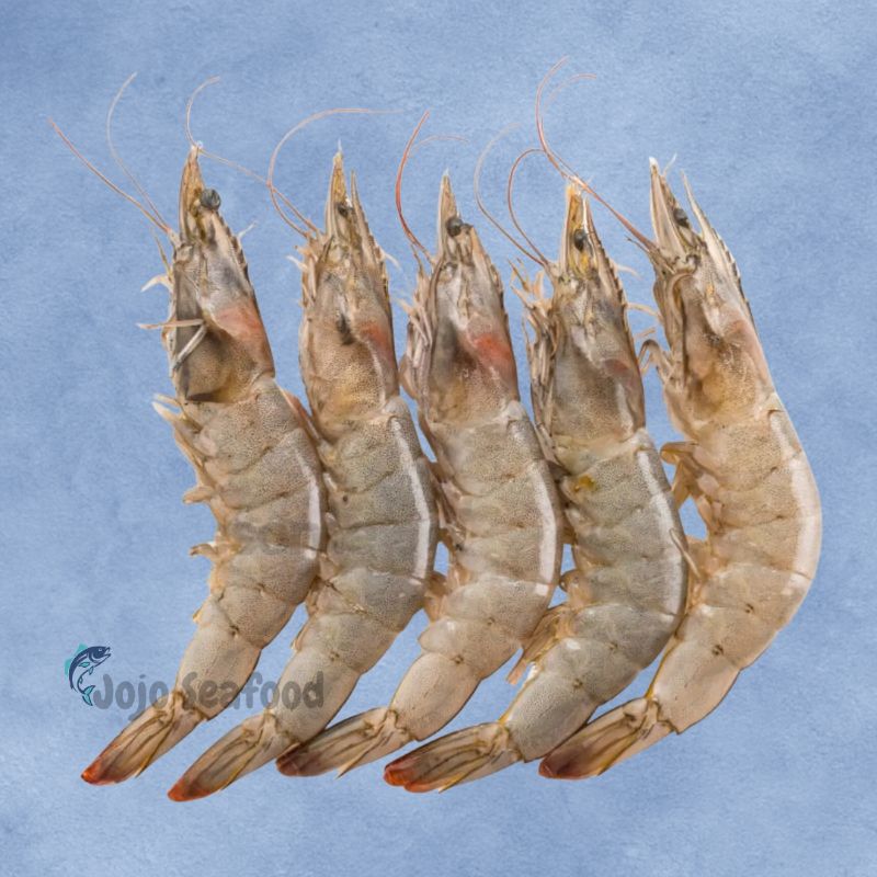 Large Prawns