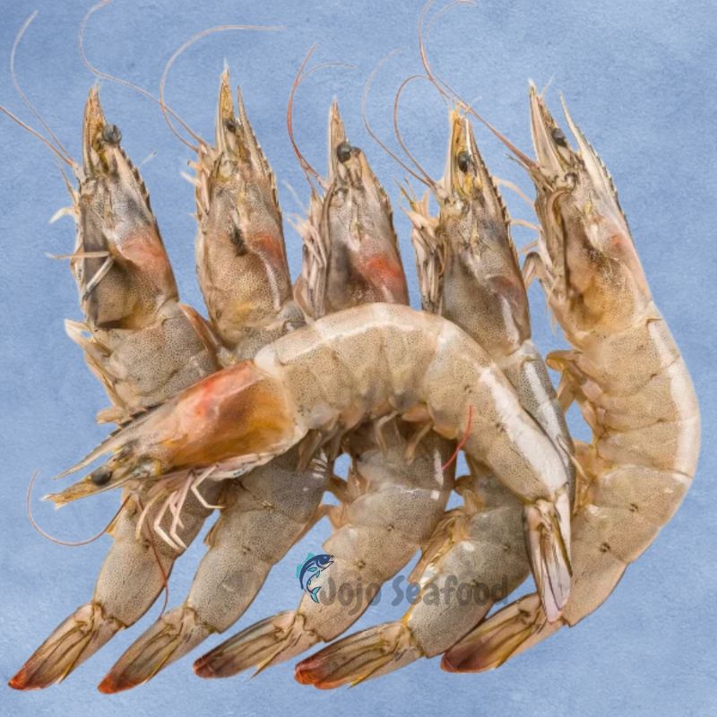 Medium Prawns