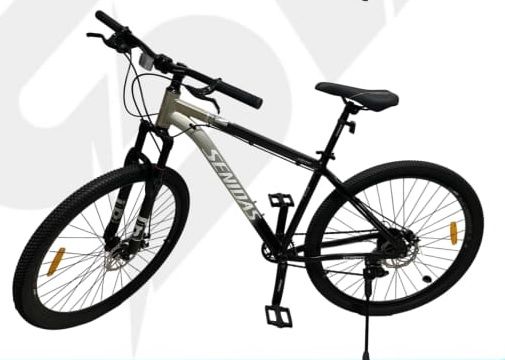 Bicicleta rin 29 SENIDAS GRIS CON NEGRO