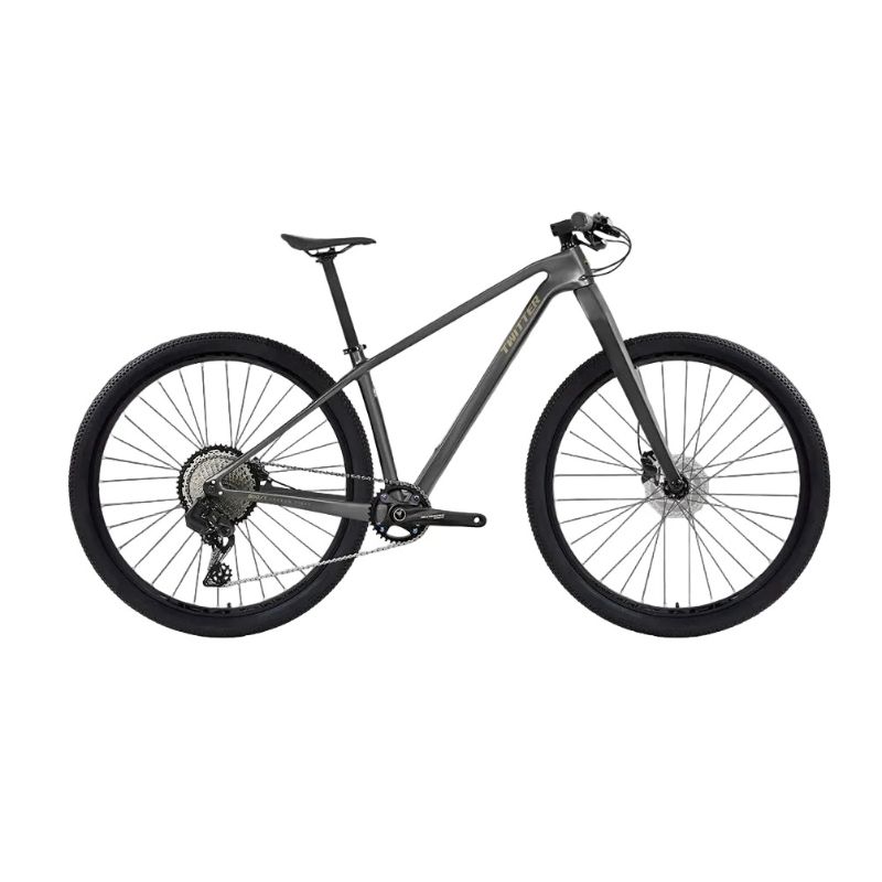 MOUNTAIN BIKE MODEL WARRIOR PRO GRIS