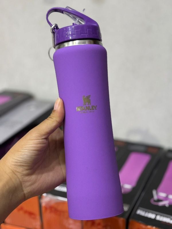 Termo Botella Stanley (Modelo 2) (600ml)