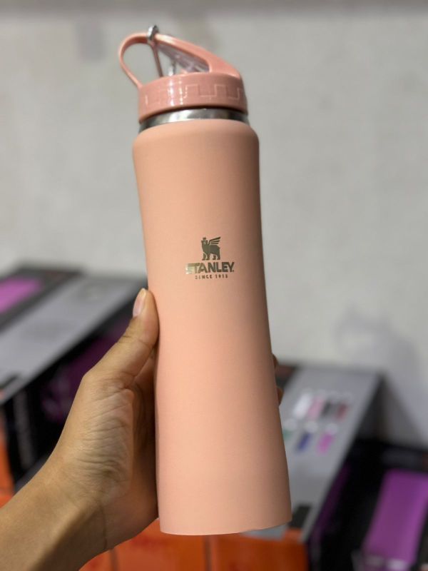 Termo Botella Stanley (Modelo 2) (600ml)