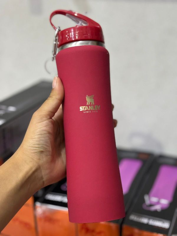 Termo Botella Stanley (Modelo 2) (600ml)