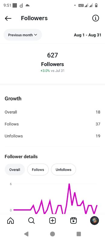 Instagram Account Management – Client Results