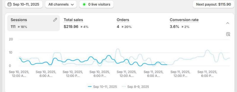 E-Commerce Store Setup