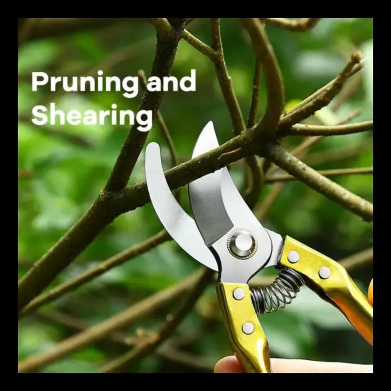1 Pc Stainless Steel Gardening Scissor