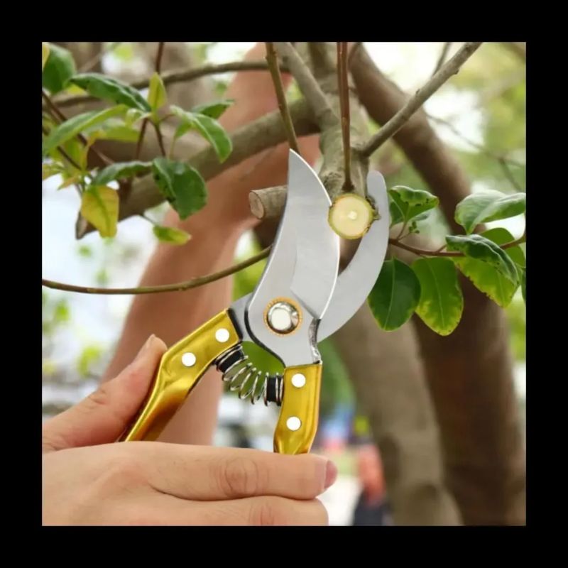 1 Pc Stainless Steel Gardening Scissor