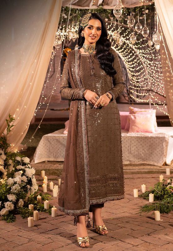 EMBROIDERED CHIFFON