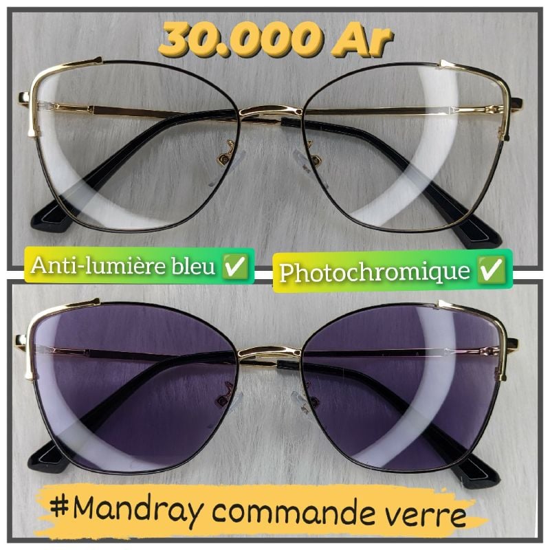 Papillon MOD12