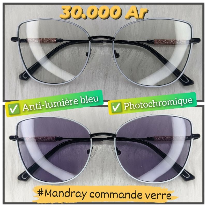 Papillon MOD19