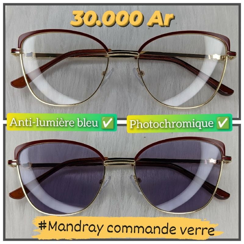 Papillon MOD11