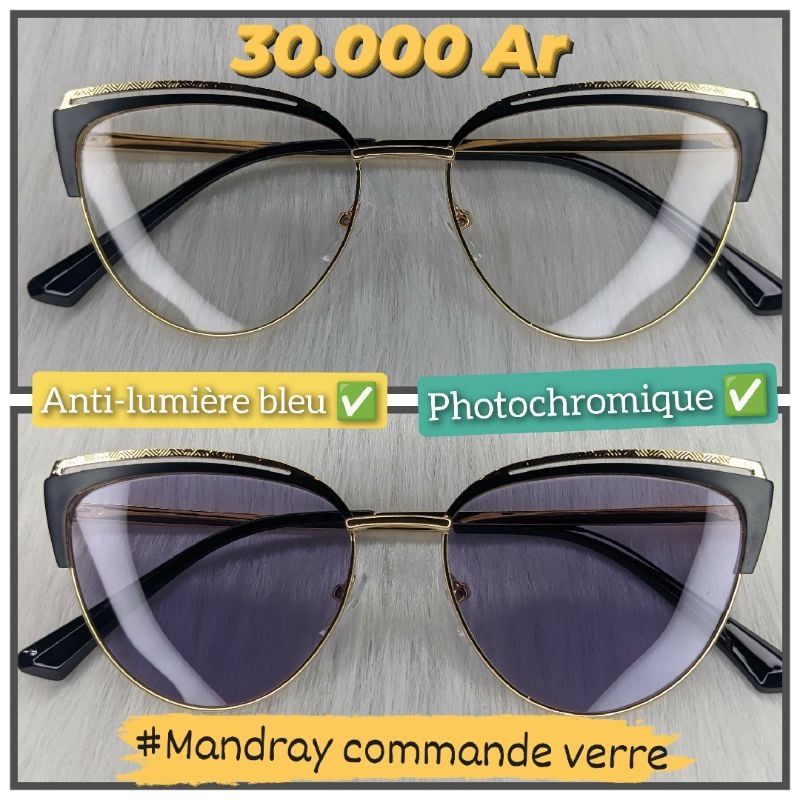Papillon MOD6