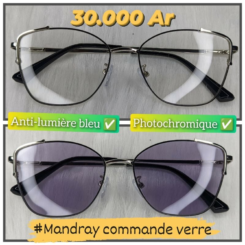 Papillon MOD13