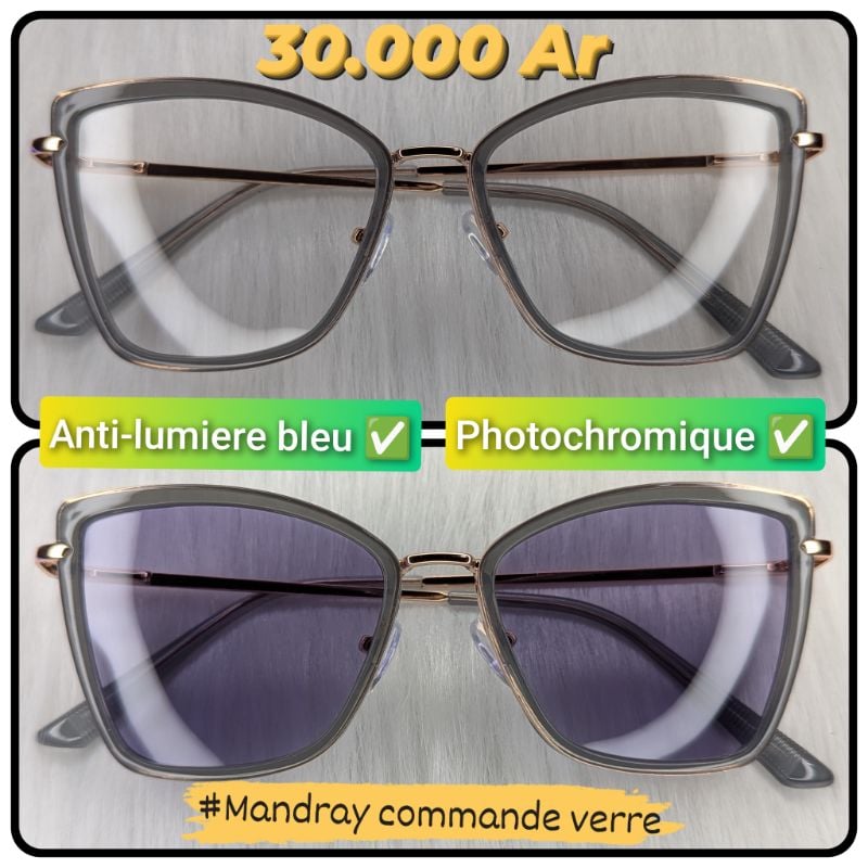 Papillon MOD3
