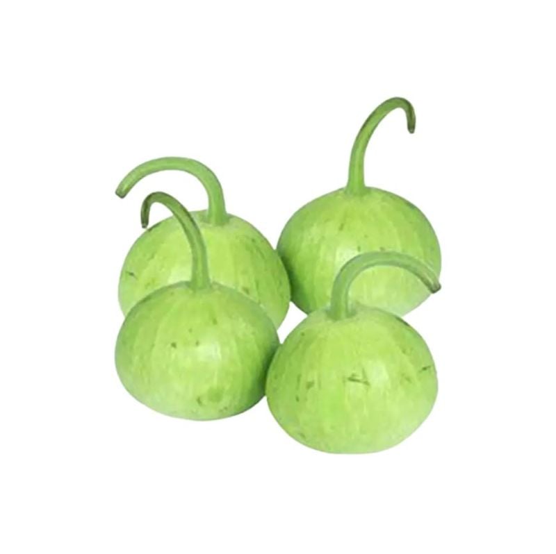 Pakistani Fresh Pumpkin Round (Gol Kadu)