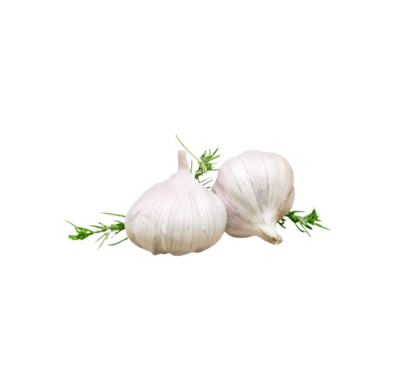 Garlic (Lehsan) Local