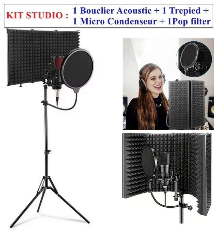 KIT MICROPHONE DE 4 ELEMENTS
TOP HIT