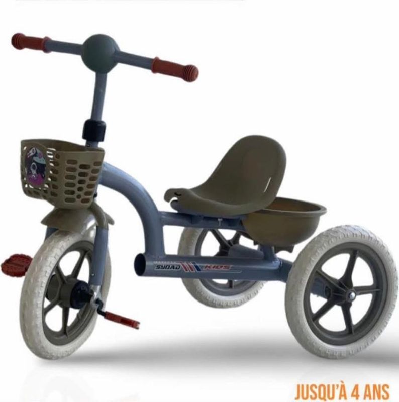 tricycles pour enfants de 16 pouces
pouvant être montés par des garçons et des filles