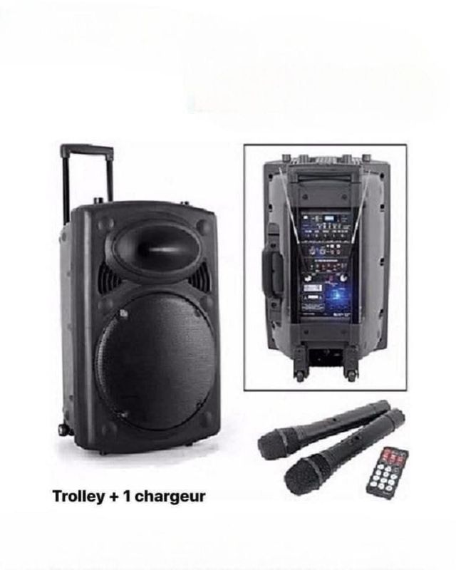 Système De Sonorisation Haut Parleur Bluetooth 
D14 Rechargeable + 2 Microphone