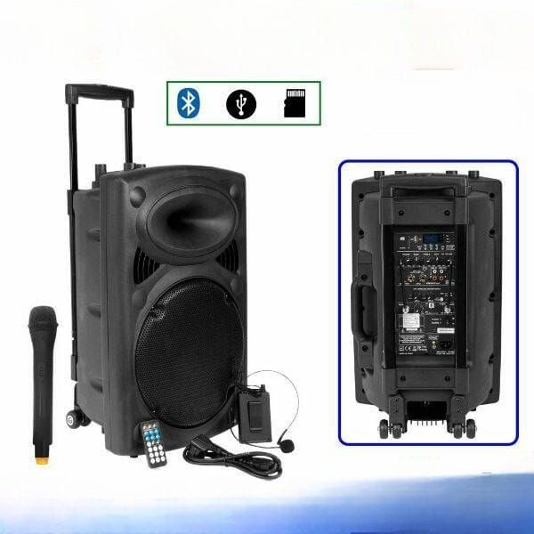 Système De Sonorisation Haut Parleur Bluetooth 
D14 Rechargeable + 2 Microphone
