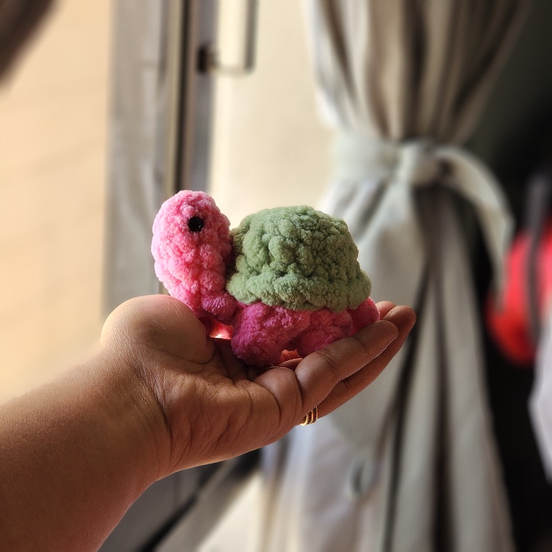 Mr Strawberyy Tortoise