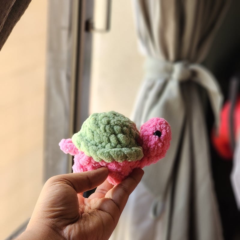 Mr Strawberyy Tortoise