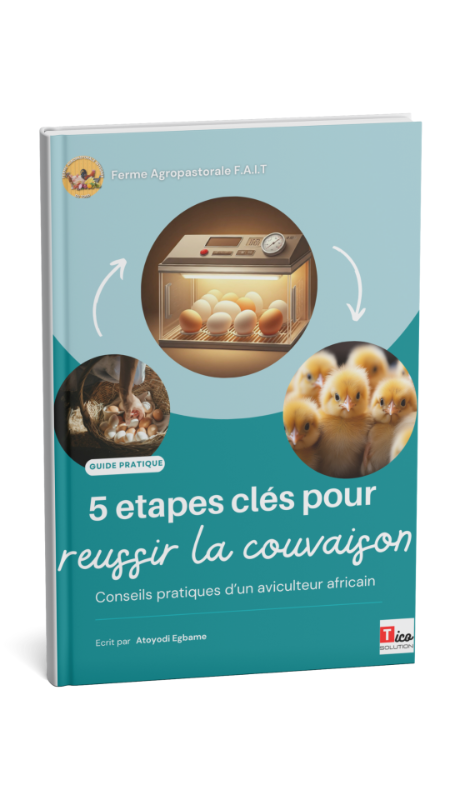 5 Etapes clés pour réussir la couvaison