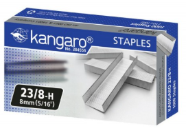 স্ট্যাপল পিন