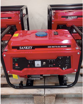 💥Generador eléctrico 3kw Sankey