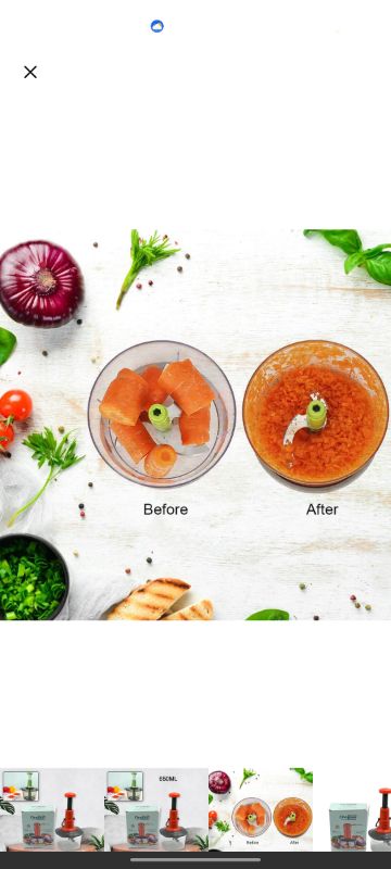 Manual Press Fruit & Vegetable Chopper, with 3 Stainless Steel Blades, Anti-Slip Base, and Locking System, Cutting Chopper For Kitchen (650 ML)