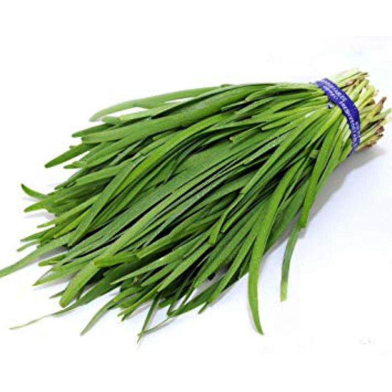 Garlic chives seeds- herb seeds