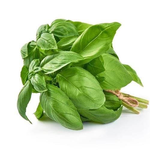 Genovese Niaz Bo Basil Herb Seeds - Home Kitchen Gardening