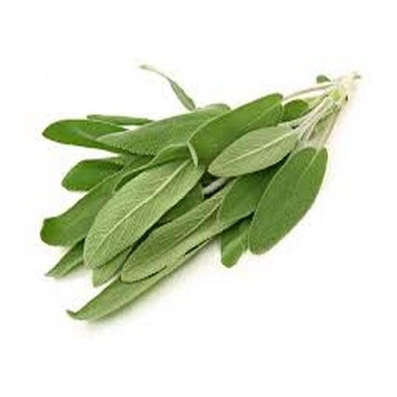 Sage Seeds Herb Seeds