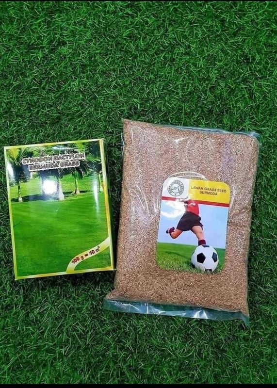 Hybrid Bermuda Grass Seed 50 gm - (500 square feet)