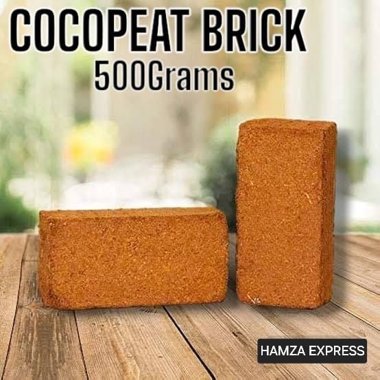 Fully Dry Compressed Coco Peat Brick 500 Grams