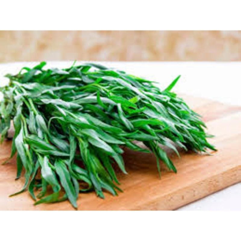 Tarragon seeds- herb seeds