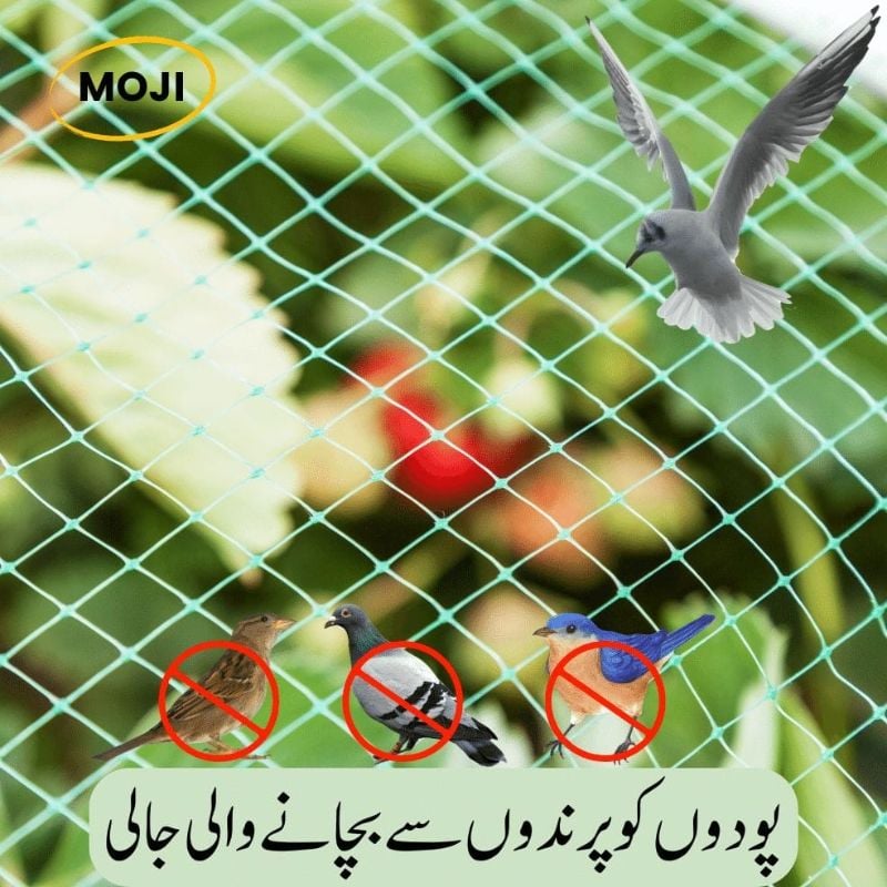Netting for protecting plants from birds Keep Your Homegrown Produce Safe